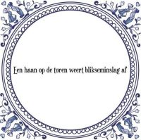 Een haan op de toren weert blikseminslag af Een haan op de toren weert blikseminslag af